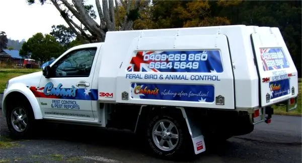 Commercial vehicle signs